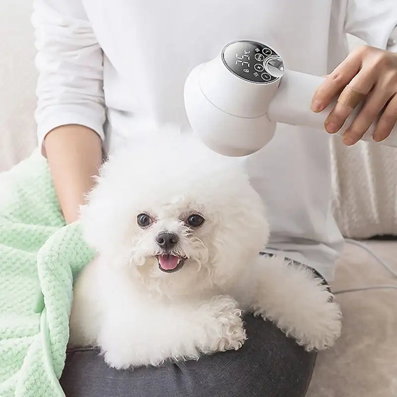 Low Noise Pet Hair Dryer with Slicker Brush