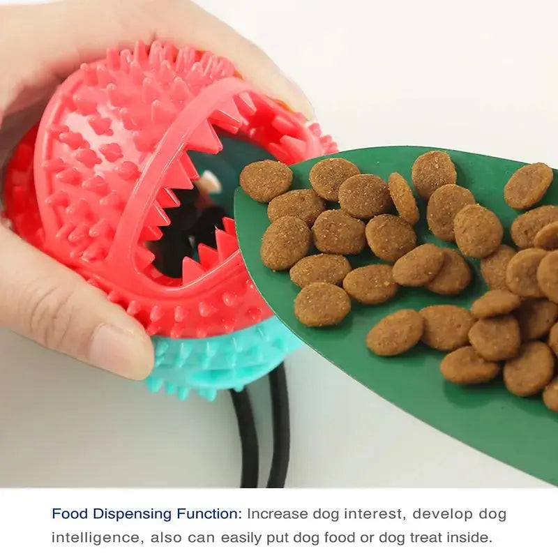 Interactive Suction Cup Dog Toy