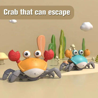 Interactive Run Away Crab Toy for Dogs